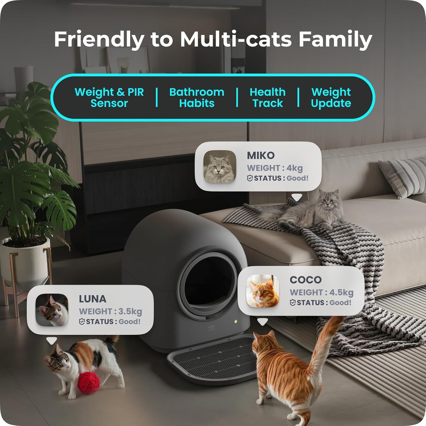 Smart Cat Litter Box